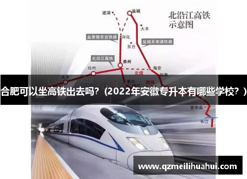 合肥可以坐高铁出去吗？(2022年安徽专升本有哪些学校？)