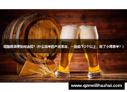 精酿啤酒要如何选择？(什么绵羊的产羔率高，一胎能下2个以上，除了小尾寒羊？)