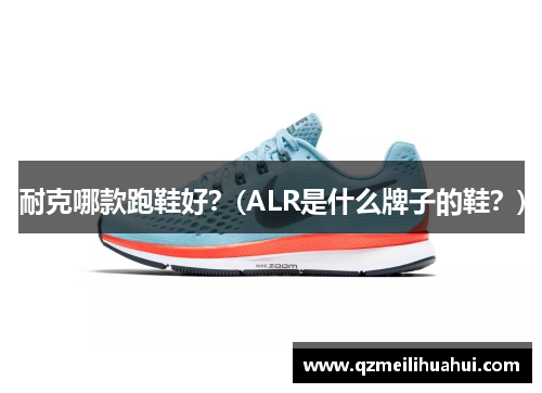 耐克哪款跑鞋好？(ALR是什么牌子的鞋？)
